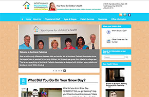 Website Design Options by Kansas City North steve's computer and website Design